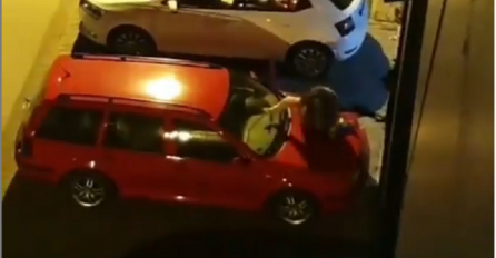 Snimak o kojem bruji SRBIJA, pogledajte šta su sinoć snimili građani sa balkona: DJEVOJKA NA HAUBI AUTOMOBILA, A NJEN DEČKO...
