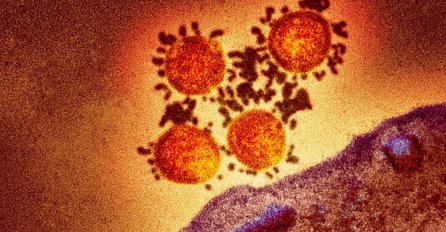 Svi su preplašeni zbog novog soja koronavirusa: Naučnici otkrili da li je mutacija opasna za ljude sa antitijelima