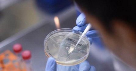 Otkriven još jedan novi soj korone