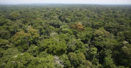 Doktor koji je otkrio ebolu u Kongu UPOZORAVA, 'smrtonosni virus tek će da stigne'