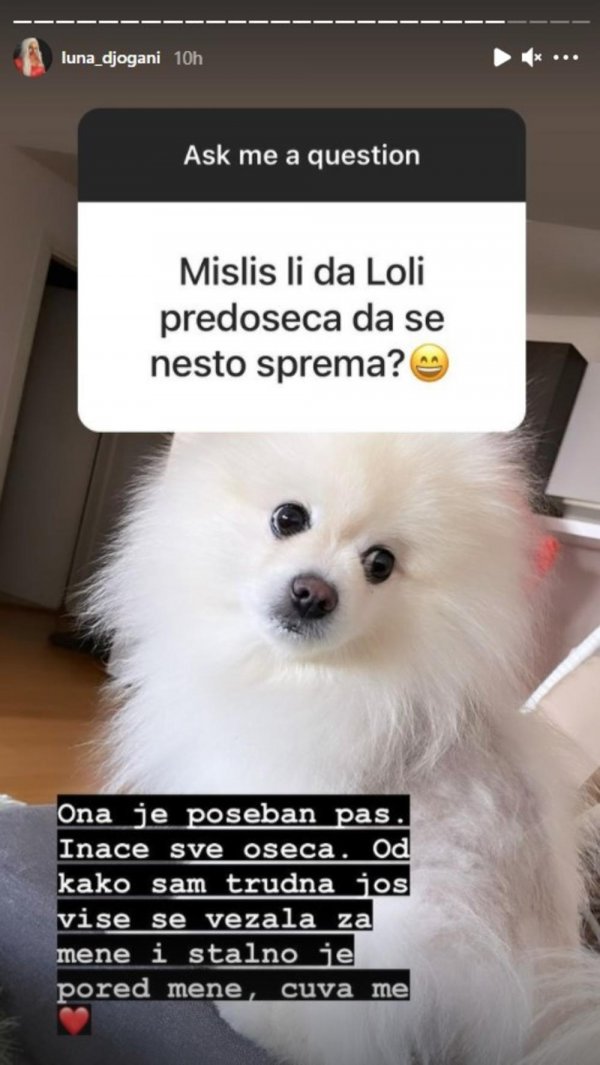 2415519-screenshot-93-ff