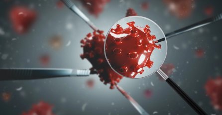 U BiH 220 novozaraženih koronavirusom, 23 osobe preminule