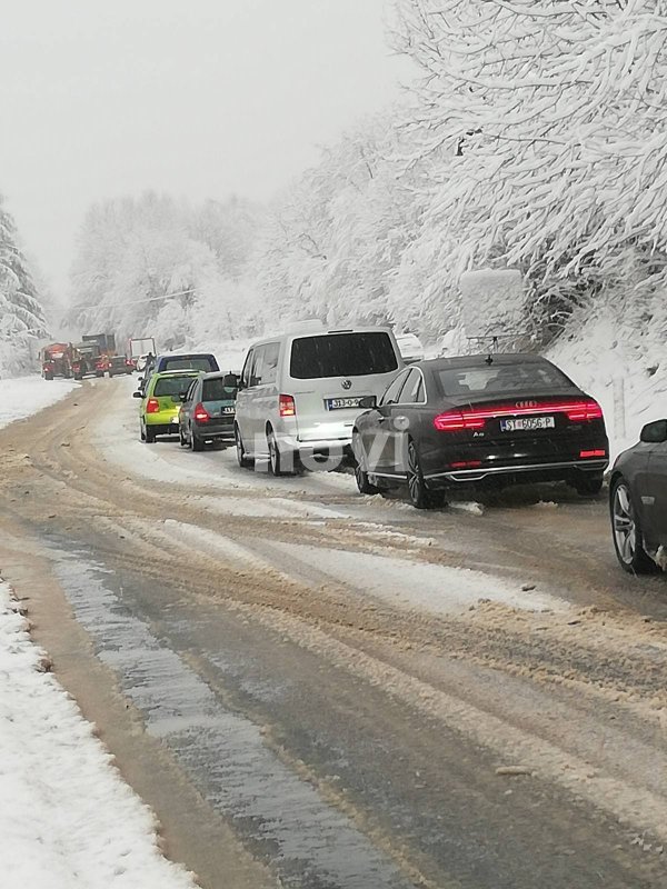 133130874-730494674553973-2205333660199371171-n