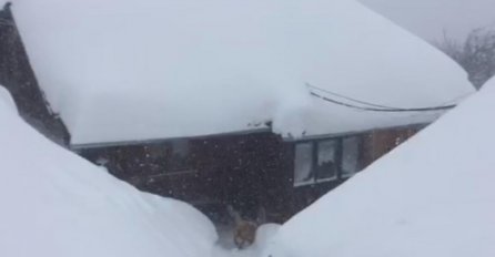 SNIJEG NAPRAVIO HAOS, PUTEVI NEPROHODNI, SELA BEZ STRUJE: Snijeg ne prestaje padati u Sjenici