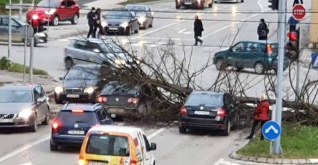 VJETAR IŠČUPAO STABLO, AUTOMOBILI OŠTEĆENI: Haos u Banjoj Luci