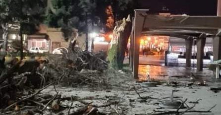 VJETAR NOSI SVE PRED SOBOM, ČUPA STABLA IZ ZEMLJE: Jako nevrijeme pogodilo Živinice (FOTO)