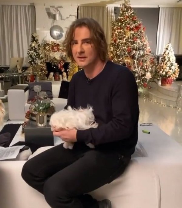 403951-mitrovic-orig