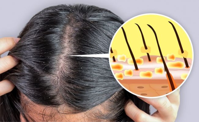 349c0456e2937defb4f84f196c