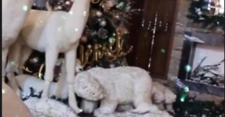 DARKO LAZIĆ OBJAVIO SNIMAK IZ KUĆE, sve okićeno: A EVO ŠTA ON RADI 