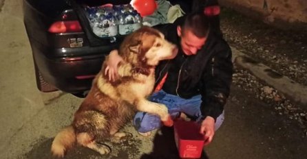Emotivna fotografija iz Petrinje: Spašen pas koji je odvojen od svog vlasnika