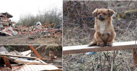 Mile je prvo bližnje potjerao iz kuće, a dok je i sam bio na pragu – kuća se srušila. Njegov psić ga je i dalje čekao…