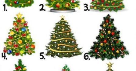 Izaberite novogodišnju jelku i saznajte kakva vas godina očekuje: DA LI STE IZABRALI PRAVU?!