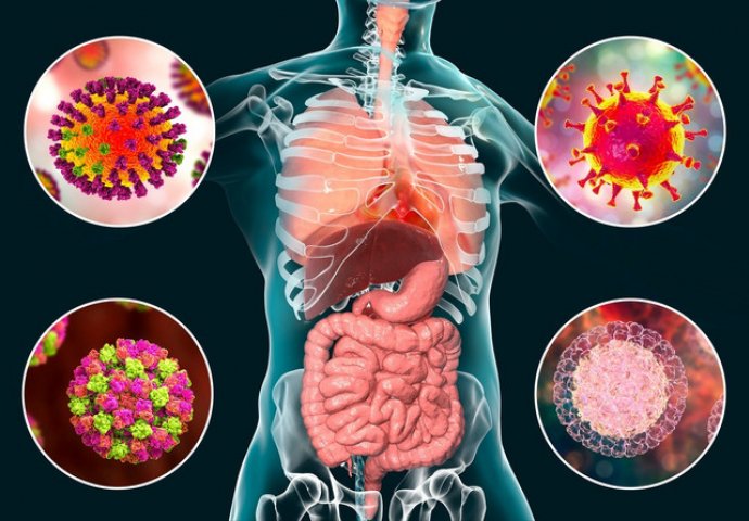 "Kovid može da OŠTETI ZDRAVU JETRU i da pogorša postojeću bolest", kaže srpska dokorica i objašnjava ko je izložen NAJVEĆEM RIZIKU