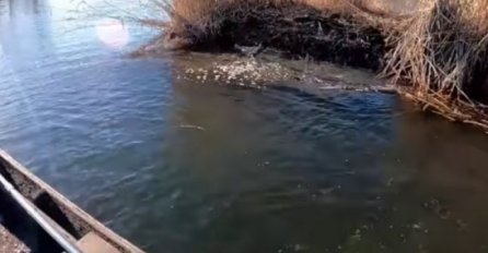 Ribar snimio kako 6,2 po Rihteru izgleda na vodi