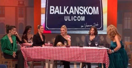 O OVOME ĆE SE DUGO PRIČATI: Pas Milice Todorović UNEREDIO se USRED EMISIJE, a reakcija pjevačice je URNEBESNA! (VIDEO)