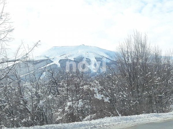 136100945-222169926083639-6497189729821540050-n