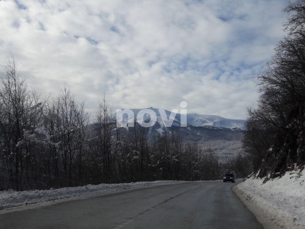 136197106-224437999162896-9215079339153831447-n