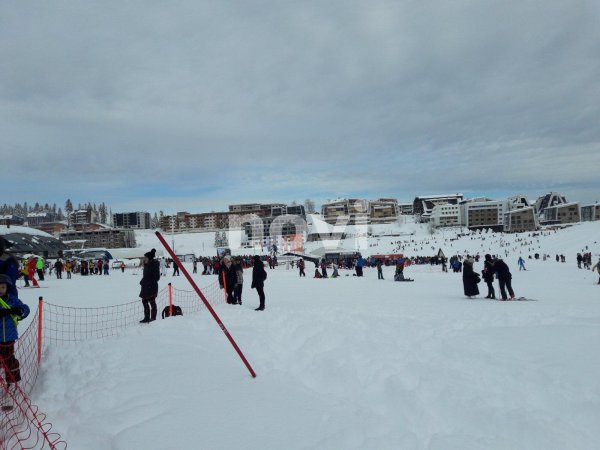 136361658-1637106560010656-3111594752175819982-n