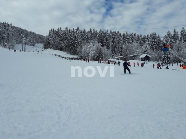 136477847-409083860344630-4887887543765963461-n