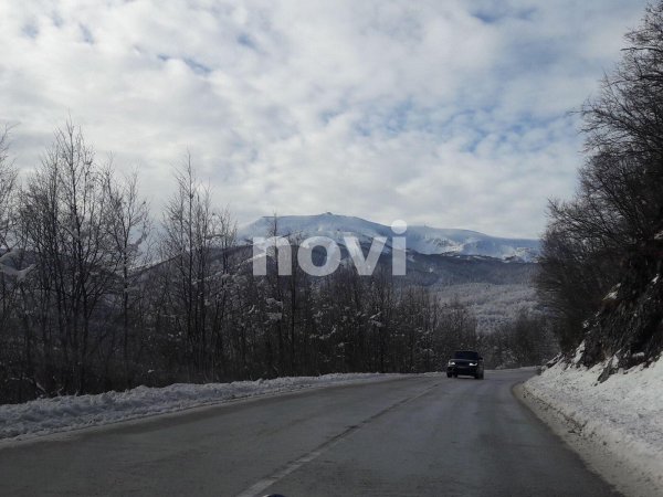 136490936-230062691904672-3481388852704692969-n