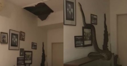 Mislila da joj je neko provalio u kuću, a onda ugledala prizor koji ju je šokirao (VIDEO)