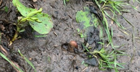 JAVILA POLICIJI DA LJUDSKI PALAC VIRI IZ BLATA: Kad su stigli, imali su šta za vidjeti