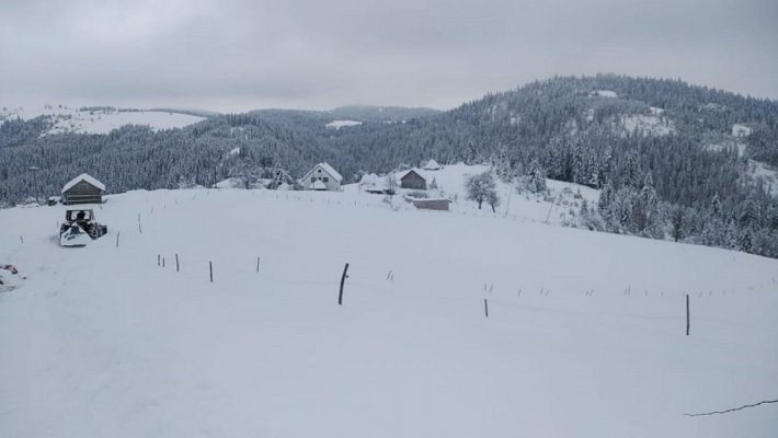 1610374063137624932-3962467887105592-2949150383525389747-n-1000x1000