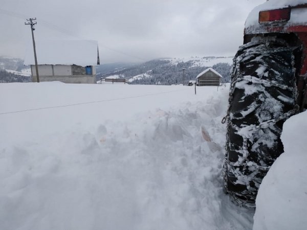 1610374009137601498-1009042032925069-8872137135781690316-n-1000x1000