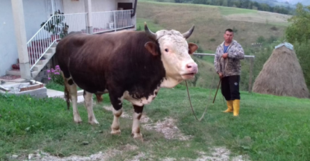 Evo ko je Almin Kolić koji je sinoć u Zenici ubio amidžu Redžiba: I ranije mu prijetio ubistvom