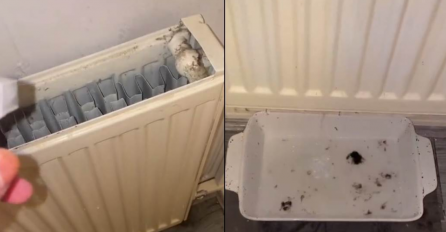 OTVORILA JE RADIJATOR, A ONO ŠTO JE UNUTRA ZATEKLA JE ZGROZILO SVE: Odmah ćete poželjeti da očistite svoj! (VIDEO)