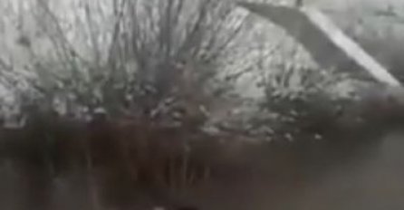 Migranti u bh. gradu spasili ženu od utapanja: Objavljen i video