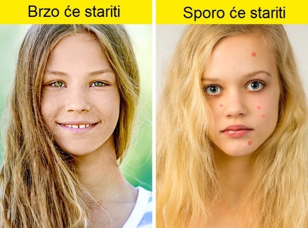 5b146ad5-eef0-49a3-80e6-64510a0a0a67-1-previeworg