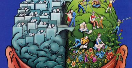 Koja strana mozga vam je dominantnija: Riješite kratak test i otkrijte