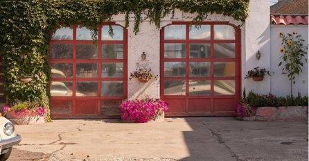 VIDITE LI PSA NA OVOJ SLICI? KOLIKO VREMENA VAM TREBA DA GA UOČITE: Samo rijetki odmah uspiju