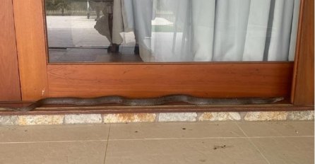 Otvorili klizna vrata, uočili prizor iz NOĆNE MORE: "Spalite kuću"