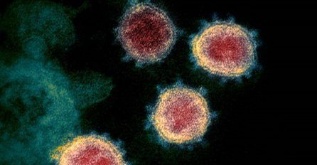 Istraživanje: Covid-19 bi mogao postati blaga bolest poput prehlade, evo i kad