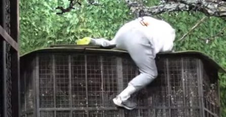 PAO KRISTIJAN GOLUBOVIĆ, svi se skupili oko njega da pomognu: Evo šta se desilo