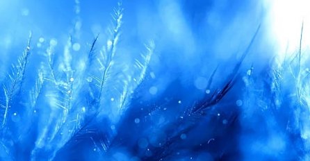 OBJAVLJEN HOROSKOP ZA PERIOD OD 25.01 DO 31.01. Evo šta očekuje vaš znak