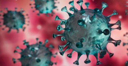 Danski soj koronavirusa lakše prodire u organizam, pojavio se i u Njemačkoj