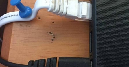 KAKVE KATASTROFE NASTANU KAD SE RODITELJI DOKOPAJU TEHNOLOGIJE: Mama me zvala jer joj internet ne radi, kad sam vidio šta je uradila, DOŠLO MI DA PLAČEM OD MUKE