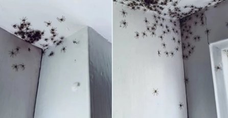 "Drugarica je ušla u kćerkinu sobu i zatekla ovaj prizor. Ako mislite da je ovo strašno, čekajte da čujete šta se desilo dalje"