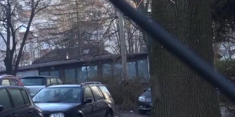 2447043-prva-slika-3-ff