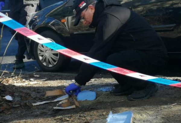 144471193-229611405502737-7252062994691773910-n-0