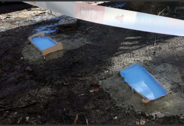 143814346-156997259386040-913225279409042318-n-0