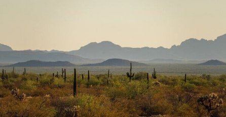 2020. bila je najsmrtonosnija godina za migrante koji su ilegalno prelazili u SAD preko Arizone