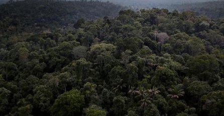 Da bi Bidenov klimatski plan uspio, mora započeti s PARKOVIMA!