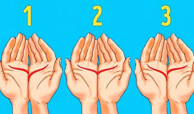 311577-22-txt-dlanovi-1-f