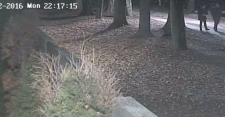Snimak nadzornih kamera iz noći kad je stradao Dženan Memić (VIDEO)