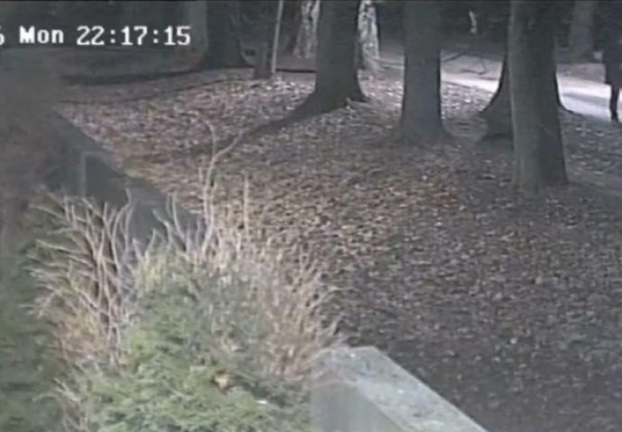 Snimak nadzornih kamera iz noći kad je stradao Dženan Memić (VIDEO)