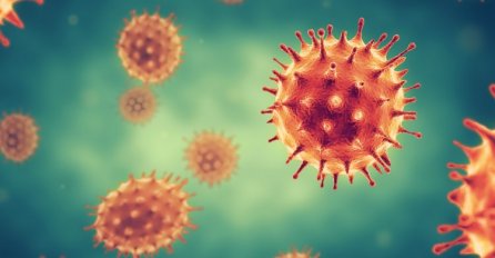 Nije isključena ni pojava bosanskohercegovačkog soja COVID-19